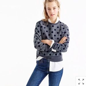 J Crew Oversized Velvet Polka Dot Sweatshirt